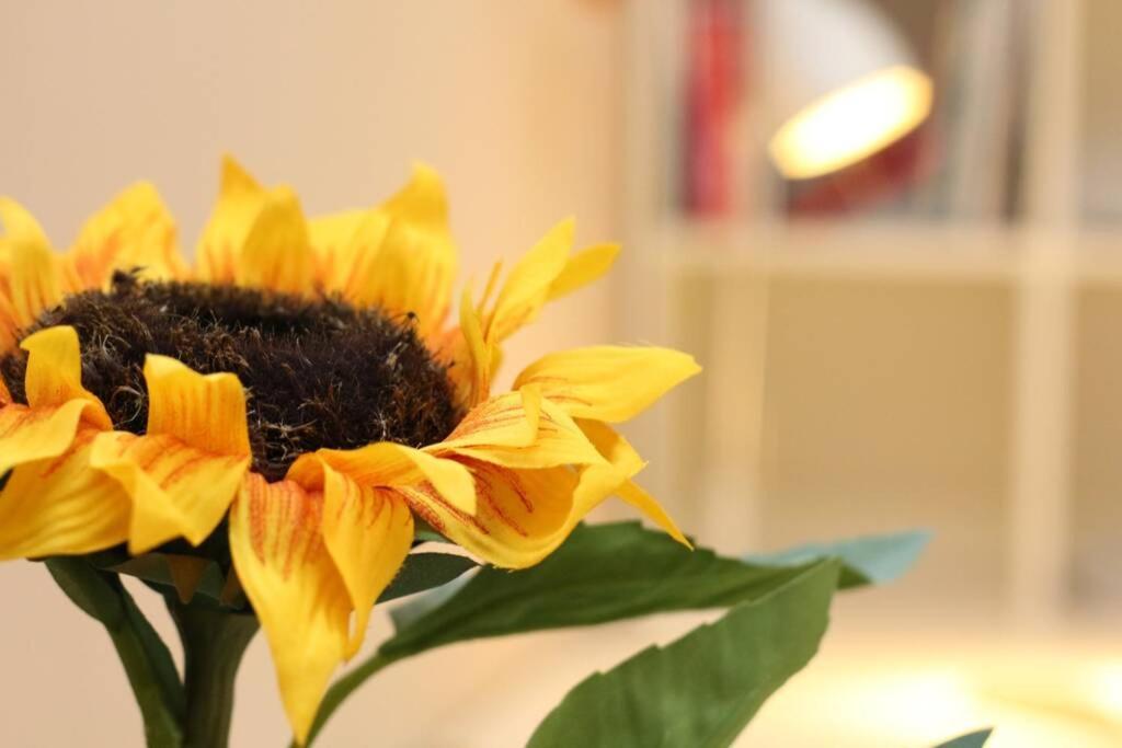 רייקה Fast Friend - Cozy Apartment In The Center With Private Garage מראה חיצוני תמונה