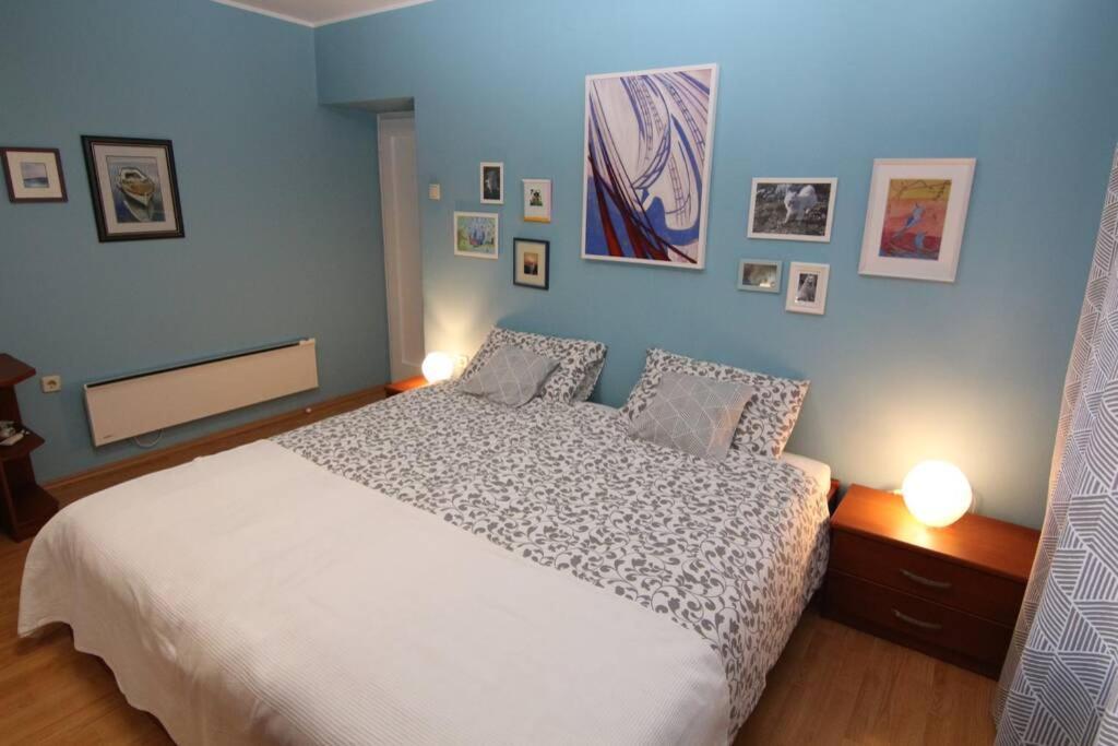 רייקה Fast Friend - Cozy Apartment In The Center With Private Garage מראה חיצוני תמונה